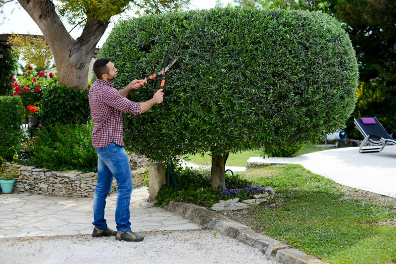Trimming Bushes Near Windows