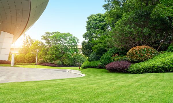 Commercial Shrub Trimming in Boulder