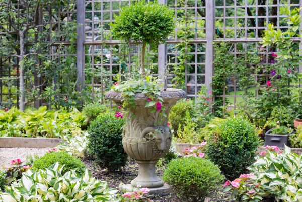 Cost of Topiary Pruning in Boulder