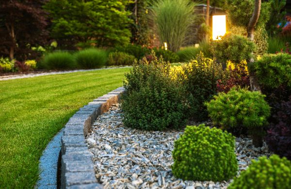Cost of Bush Relocation in Boulder
