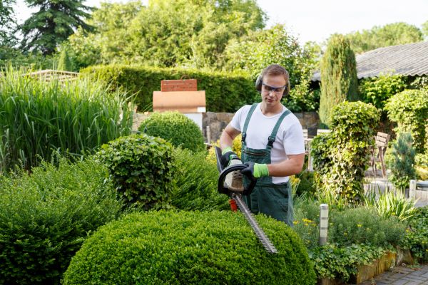 Shrubs Trimming in Boulder