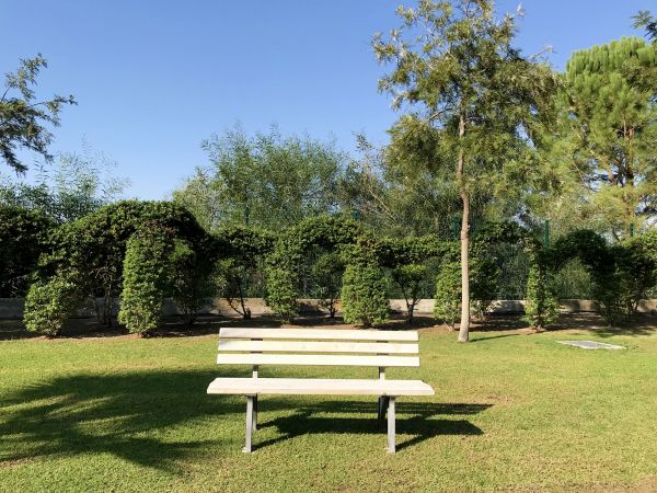 Green Space Grooming